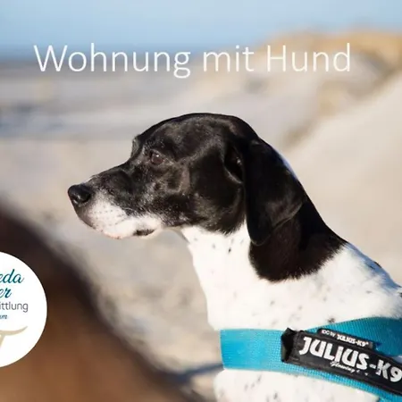 Sonnendeck - Hues In Lee